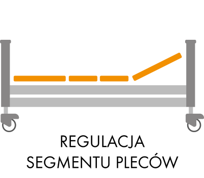 regulacja-segmentu-plecow