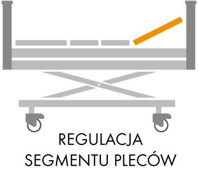 x-regulacja-segmentu-plecow